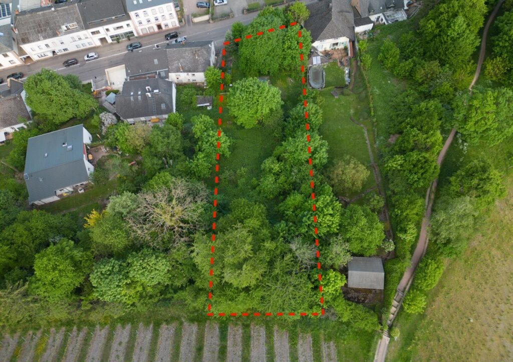 Fernblick